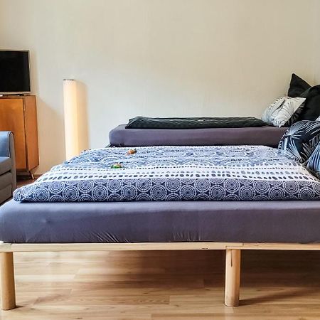Suhl - Ihre Erholsame Arbeiterwohnung In Zentrumnaehe エクステリア 写真
